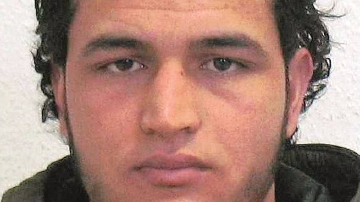 Casa e lavoro falsi: così l’attentatore di Berlino cercò di mettersi in regola nel Ravennate