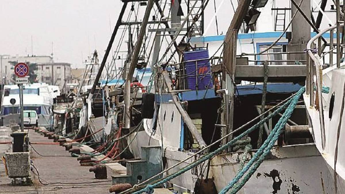 Fermo pesca per 45 giorni in Romagna. Coldiretti: «Attenzione a quello che si mangia»