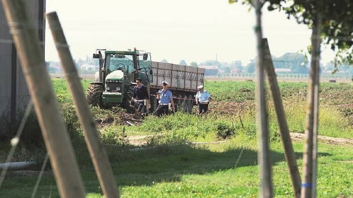 Donna morta nei campi ad Alfonsine, condannati i soci dell’azienda