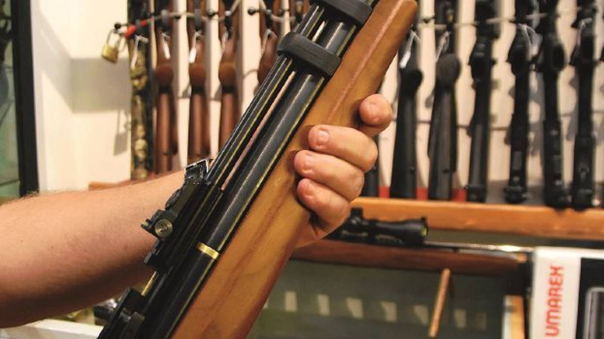 San Marino, allarme dell’Apas: Spari contro i gatti, uno è paralizzato