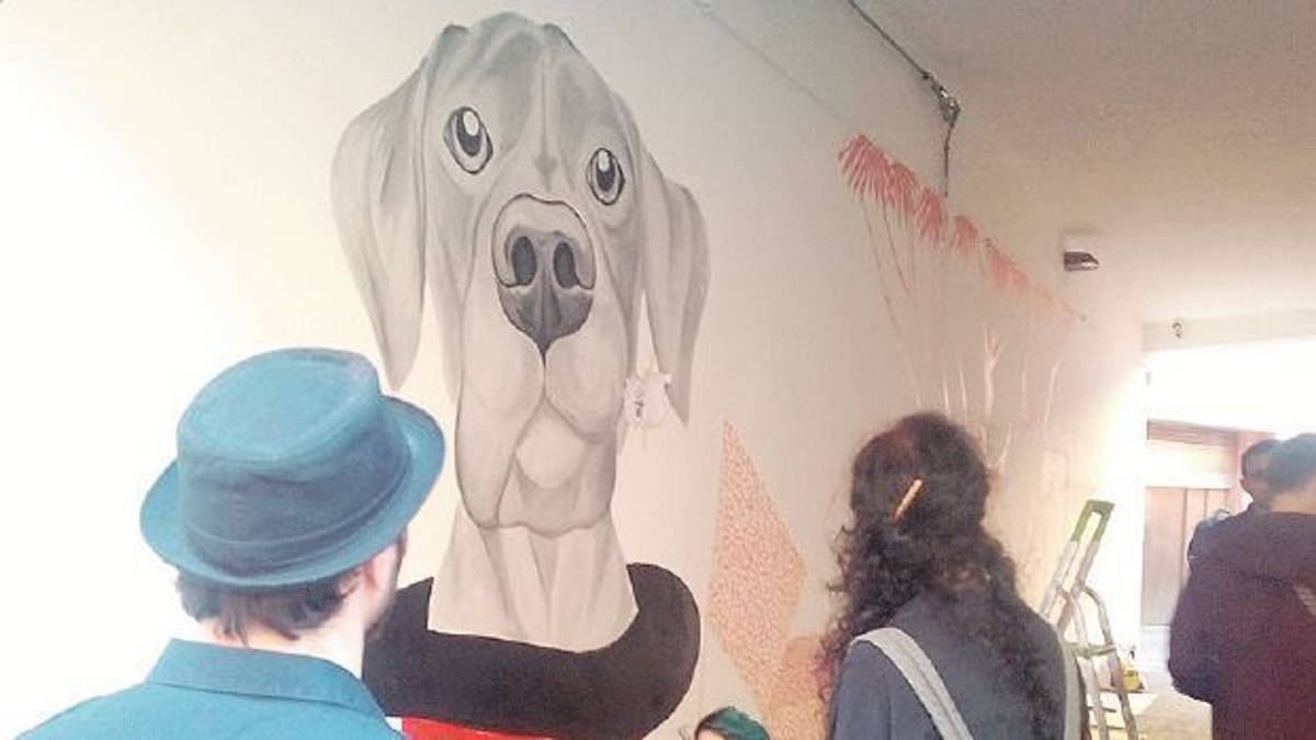 Operazione murales, la nuova corte piace ai cesenati