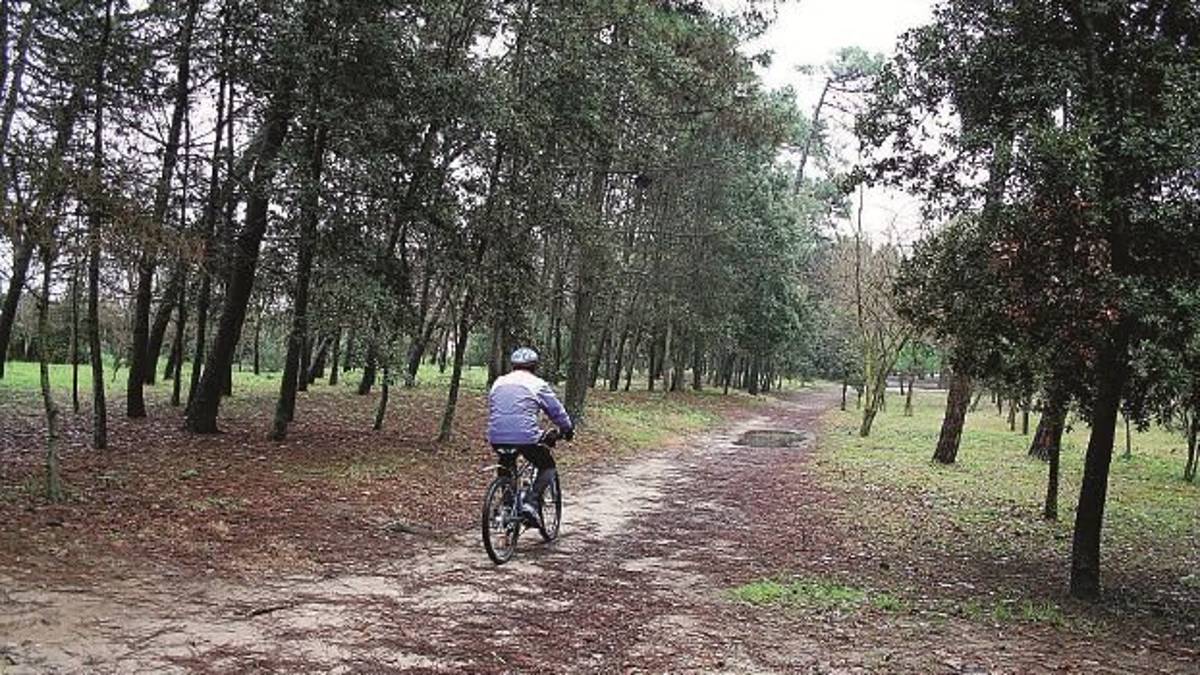 Accessi in bici e a cavallo nelle pinete di Ravenna, varate le nuove norme