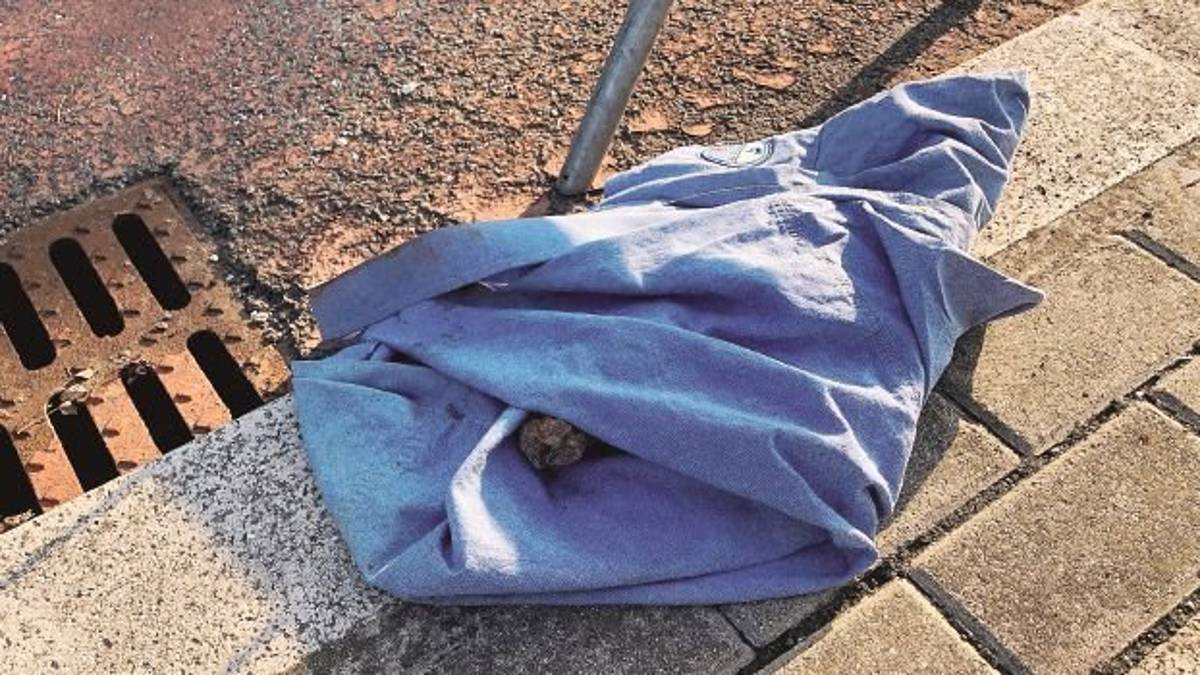 A Cesena trovato ordigno bellico inesploso abbandonato sulla ciclabile