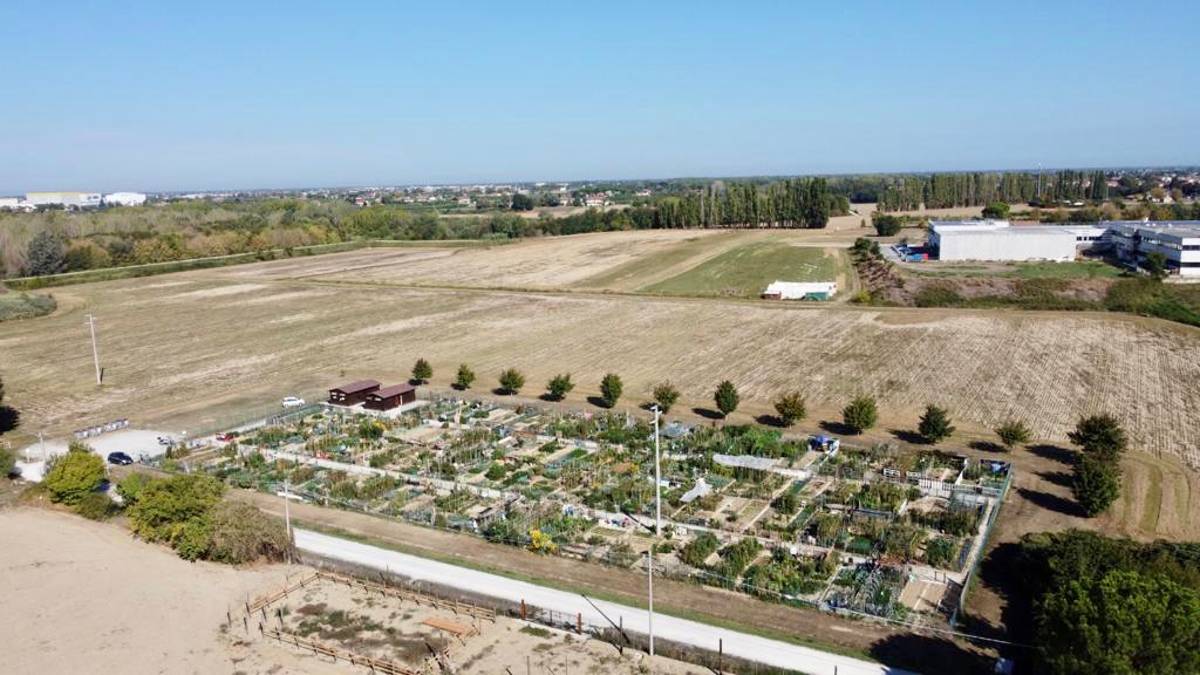 Cesena: nuovo bosco urbano da 3.000 piante nell’area verde di Sant’Anna