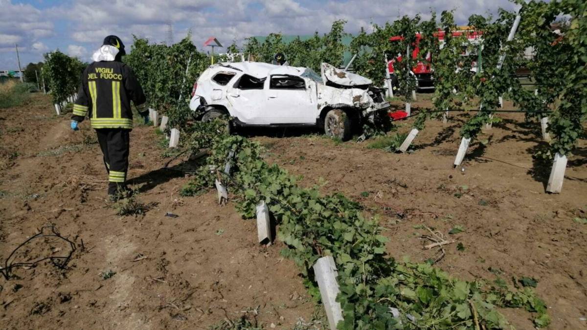 Forlì, esce di strada in A14: l'auto si ribalta più volte e finisce in mezzo ai filari di un vigneto