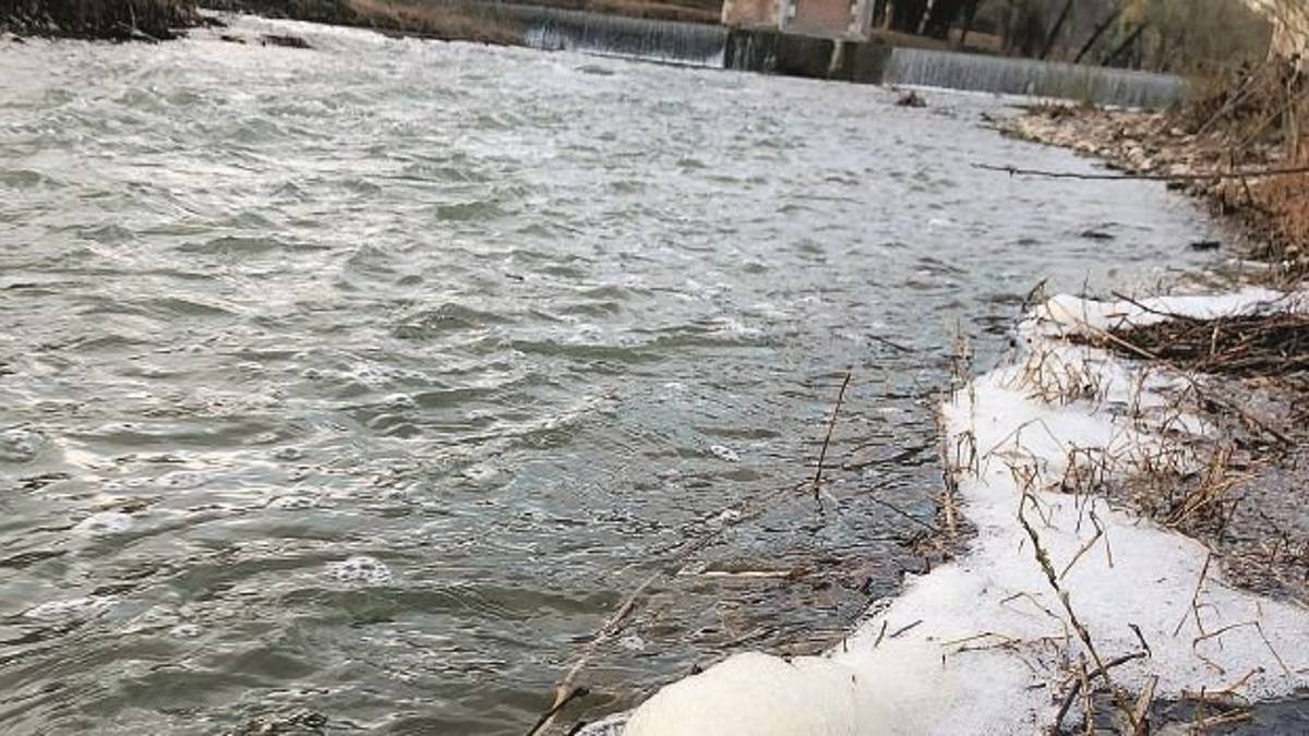 A Cesena schiuma in acqua e lungo le rive cittadine del Savio