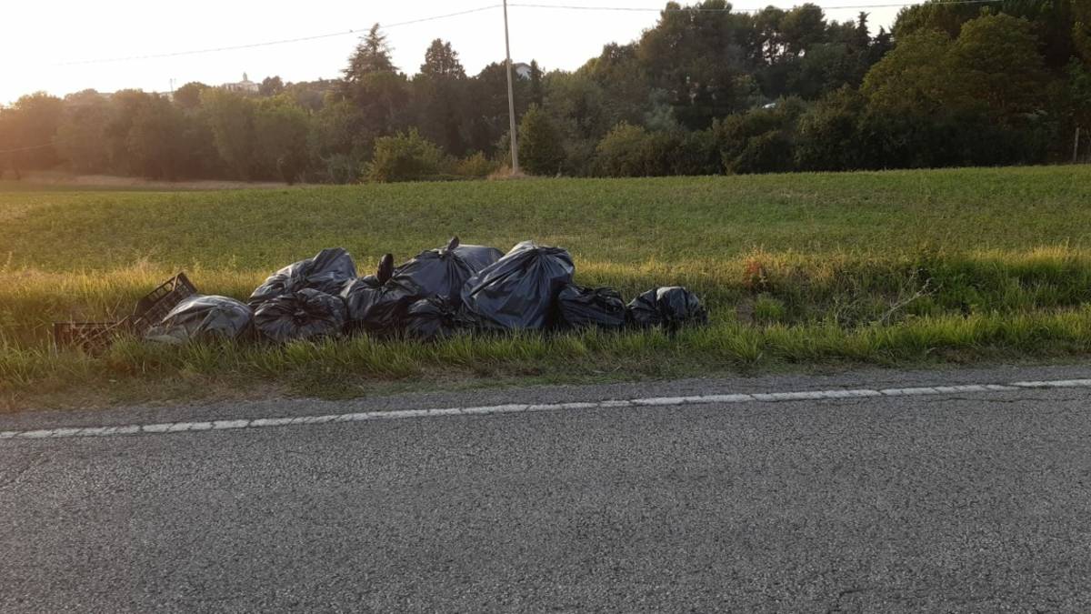 Misano, linea dura contro chi abbandona i rifiuti: verbalizzate 20 multe