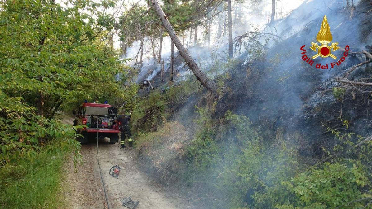 Modigliana, incendio di vegetazione spento dai Vigili del Fuoco