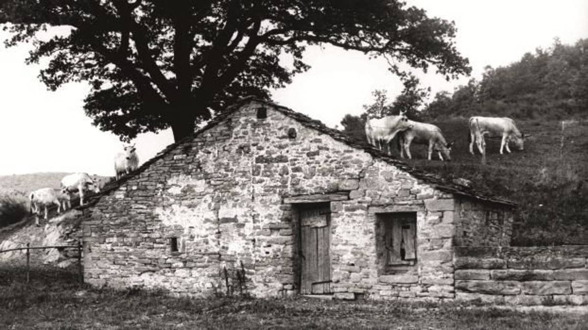 La Romagna e il suo paesaggio come patrimonio culturale in foto