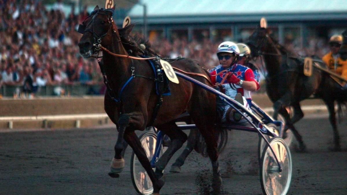 E’ morto a 31 anni Varenne, la leggenda del trotto italiano: vinse il Città di Cesena nel 1999. Stasera al Savio il ricordo di Minnucci