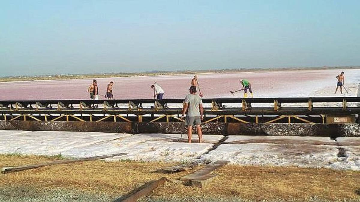 Cervia, raccolta del sale con meno quantità ma ottima qualità
