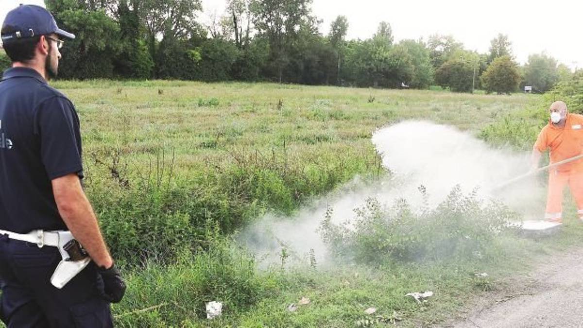 Il cadavere nel fosso a Rimini è ancora senza nome: unico indizio una catenina d’argento