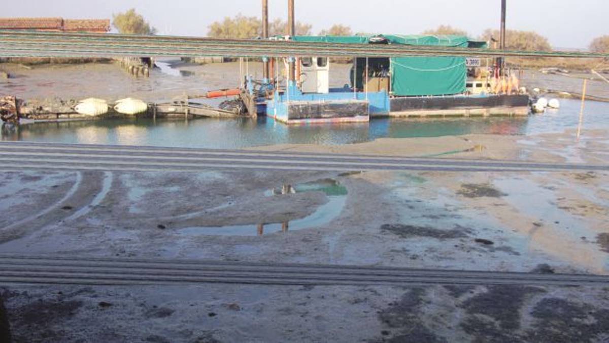 A Ravenna la pialassa si sta “insabbiando”. Le cause sono ancora un mistero