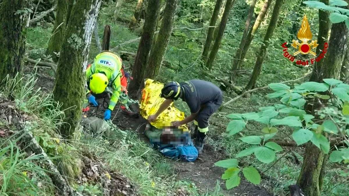 Portico, escursionisti punti da calabroni