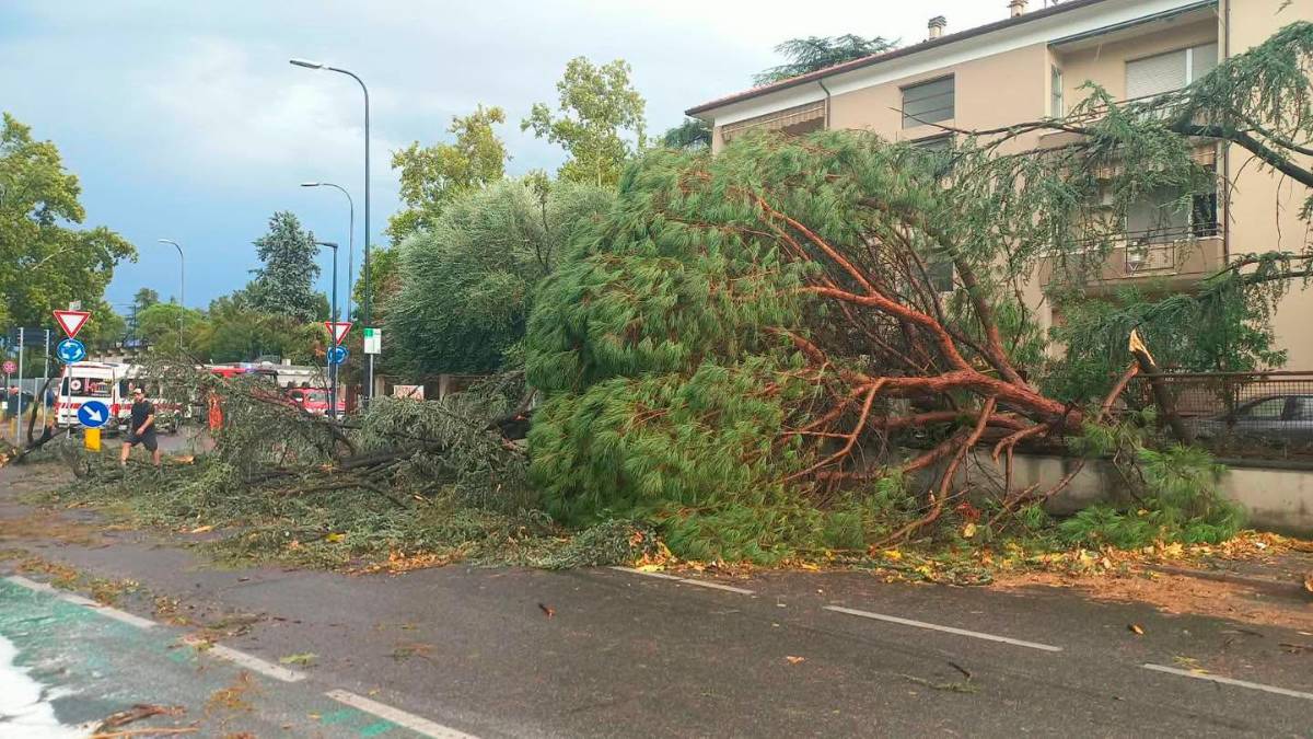 Nubifragio a Forlì: una strage di alberi e rami caduti, chiusi parchi e giardini pubblici