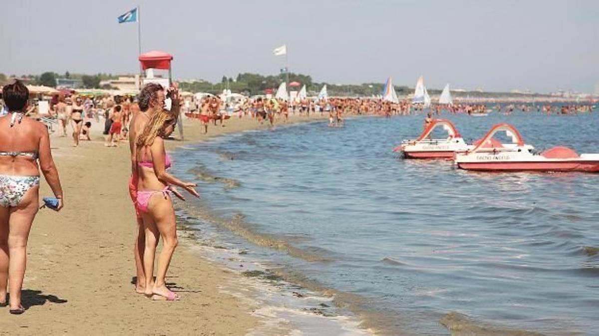 Marea verde, a Cesenatico già raccolte 2.367 tonnellate di macroalghe