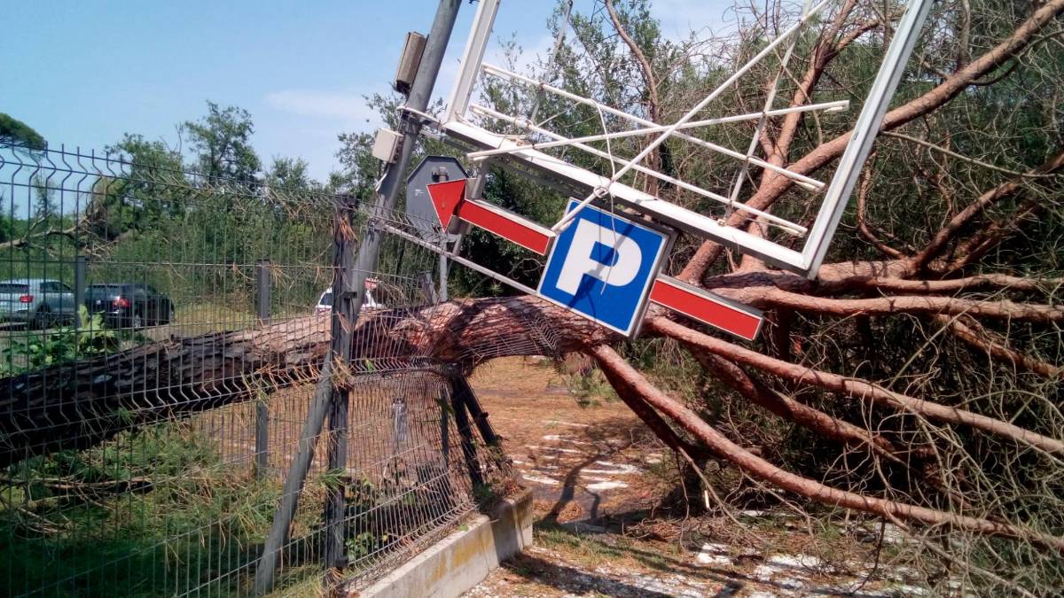 Tre milioni per le imprese agricole colpite dai temporali e le trombe d’aria di luglio