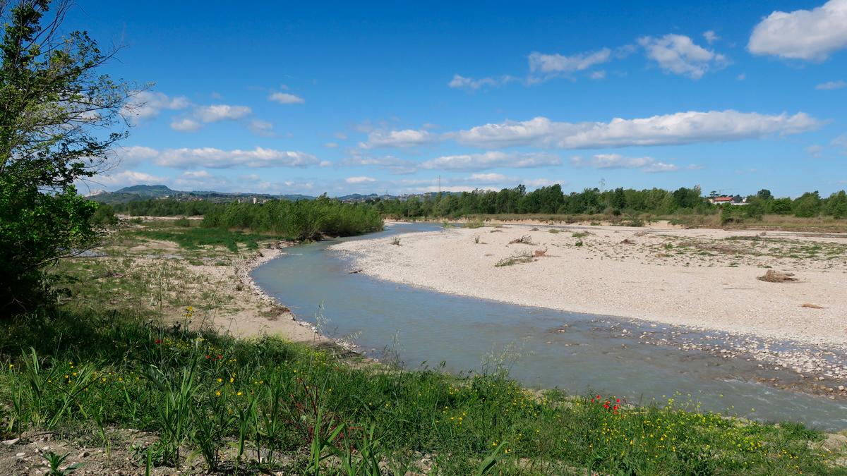 Santarcangelo, divieto di caccia lungo i fiumi Marecchia e Uso