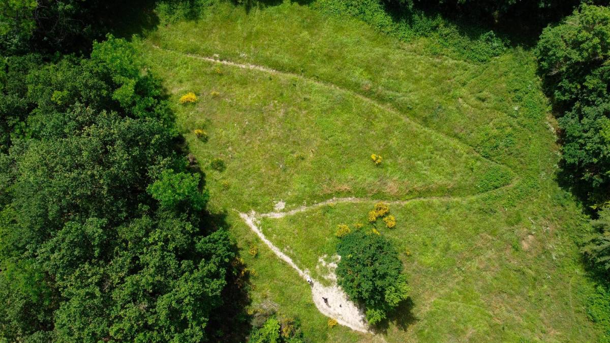 Benvenuti nella Food Forest, la foresta che si mangia a Santa Sofia VIDEO GALLERY