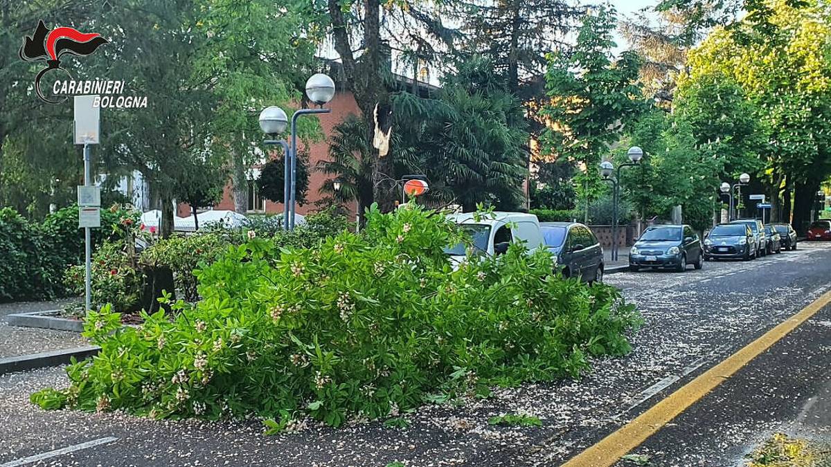 Imola e Castel San Pietro, danni provocati dal forte vento