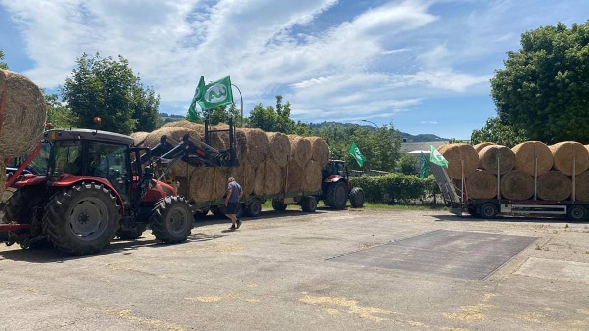 Dal Veneto più di cento rotoballe di paglia e fieno per le aziende agricole della Romagna: Grazie di cuore