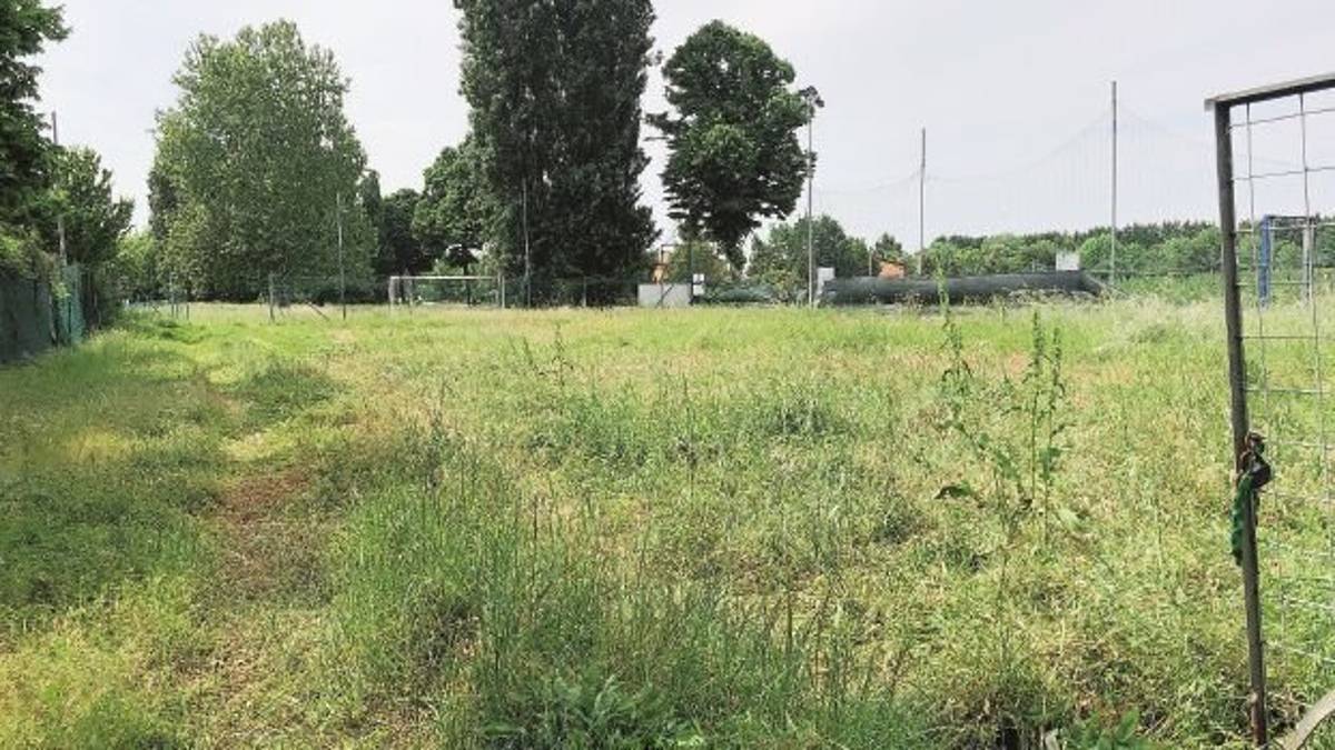 L’ex campo sportivo si trasforma per addestrare i cani salva-persone