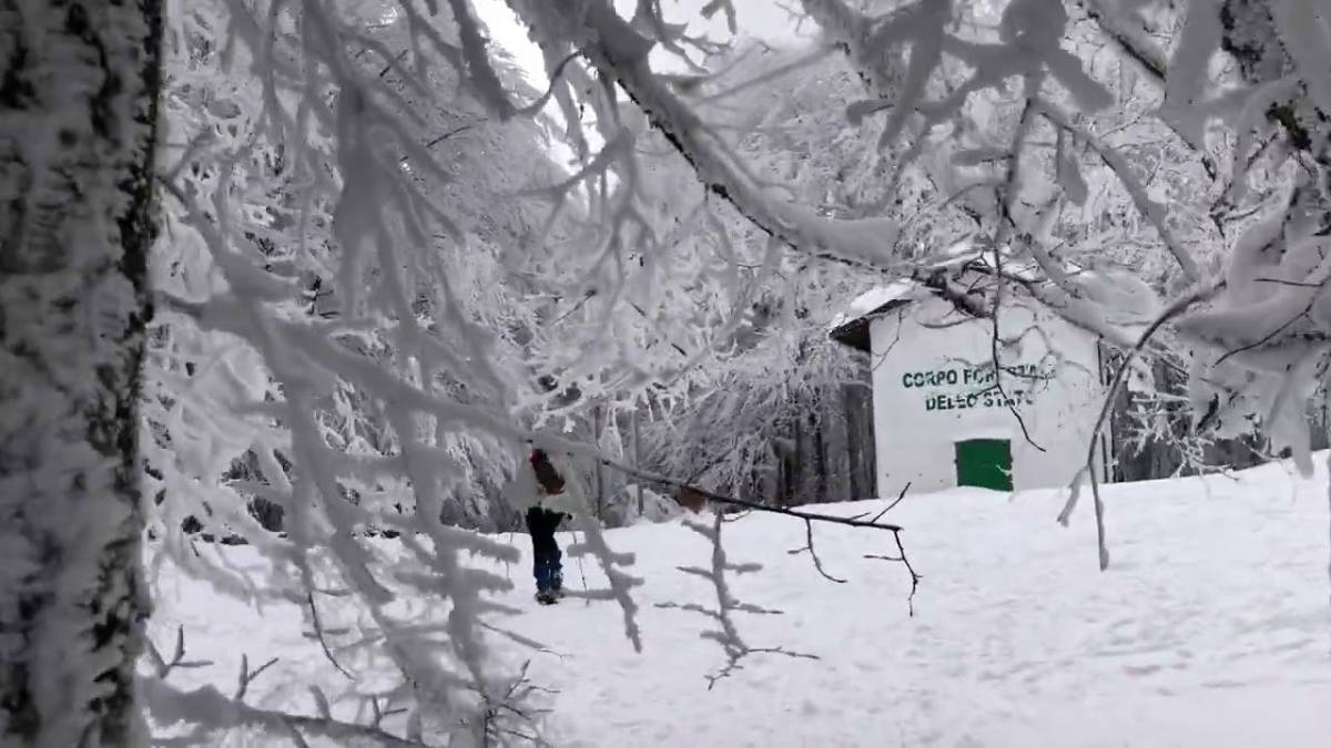 Neve in Romagna: allerta gialla per valanghe fino a venerdì sull'Appennino VIDEO