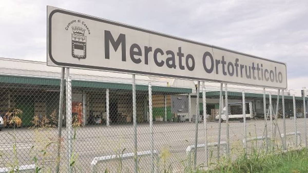 Mercato ortofrutticolo Cesena: interventi strutturali e energetici