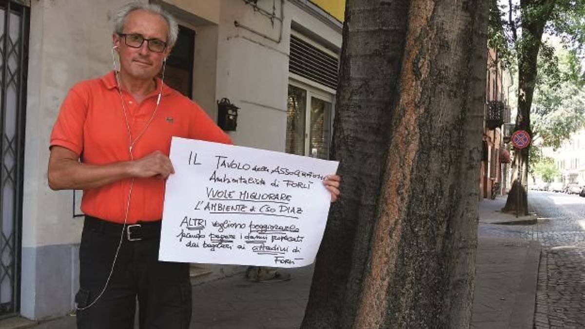 Gli ambientalisti di Forlì denunciano: «Nessun piano per il verde»