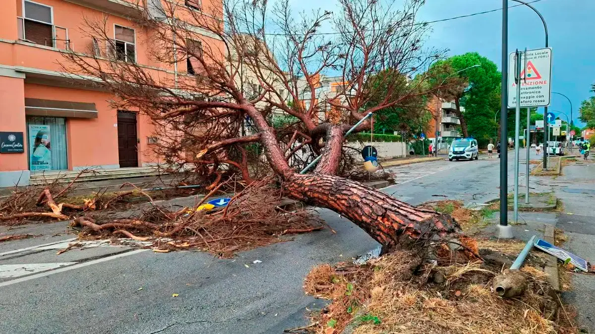 Nubifragio a Forlì, annullati gli spettacoli di venerdì e domenica alla Rocca di Ravaldino