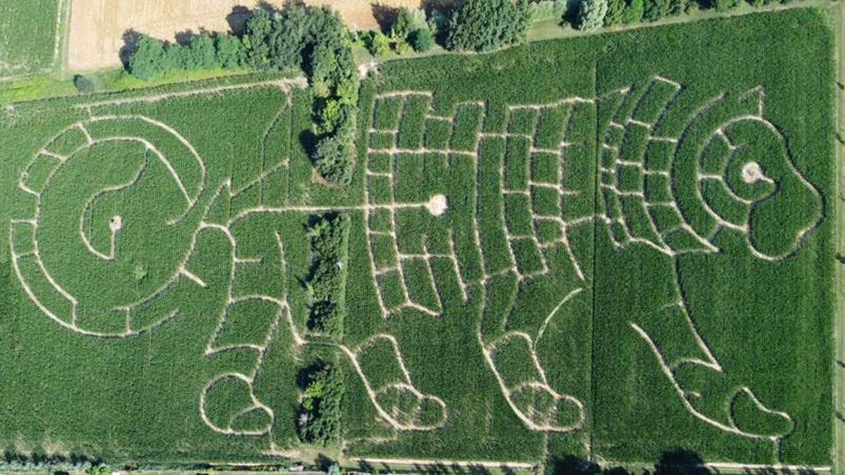 Alfonsine, ultimi giorni per visitare il Labirinto Effimero
