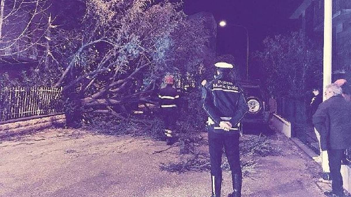 Raffiche di vento a 99 km/h: abbattuti alberi e rami