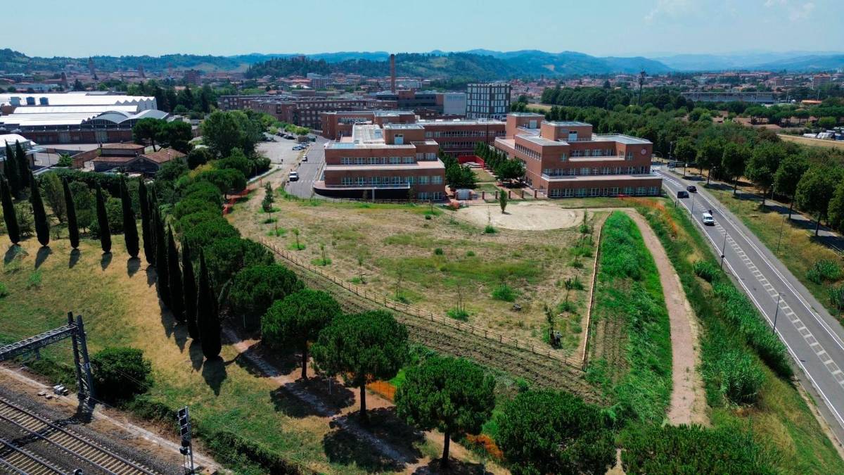 L’area verde su cui si sta intervenendo