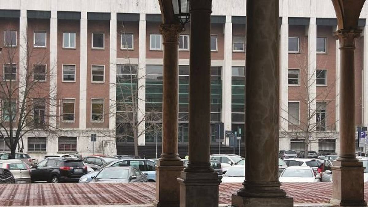 Colpito da un ramo resta tetraplegico: chiede risarcimento ai padroni di casa