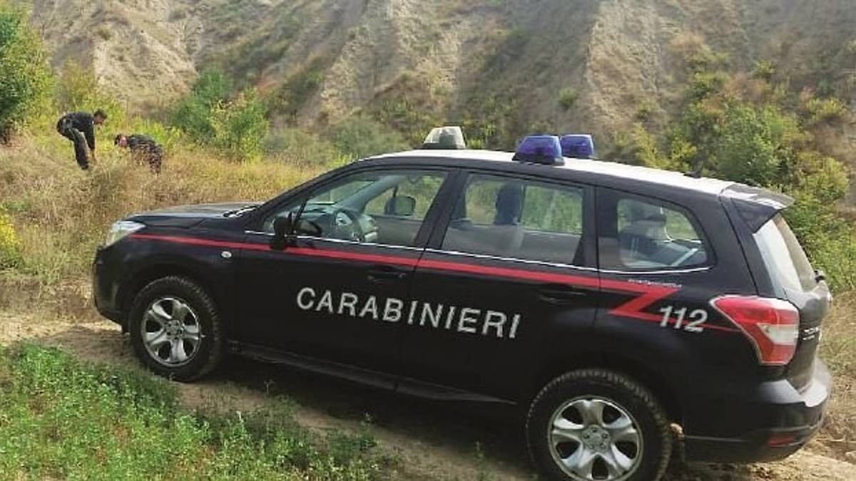 Cerca funghi e trova ossa umane a Casalfiumanese