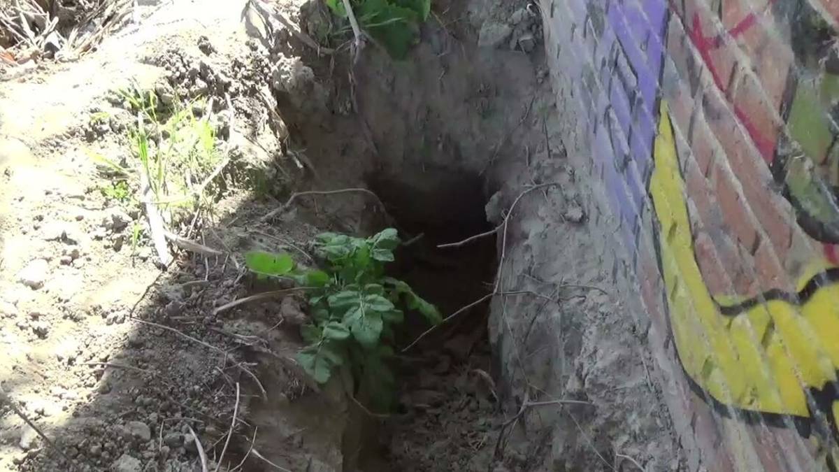 Delitto di Faenza, ecco la buca dove doveva essere sepolta Ilenia