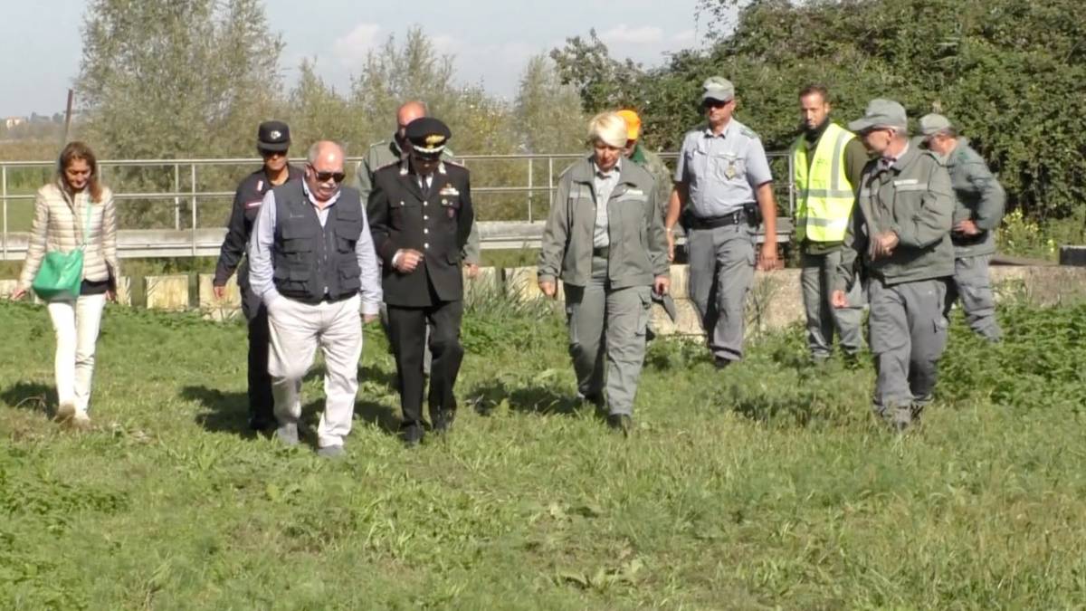 Ravenna, altri uccelli morti. Sopralluogo della Procura nella valle