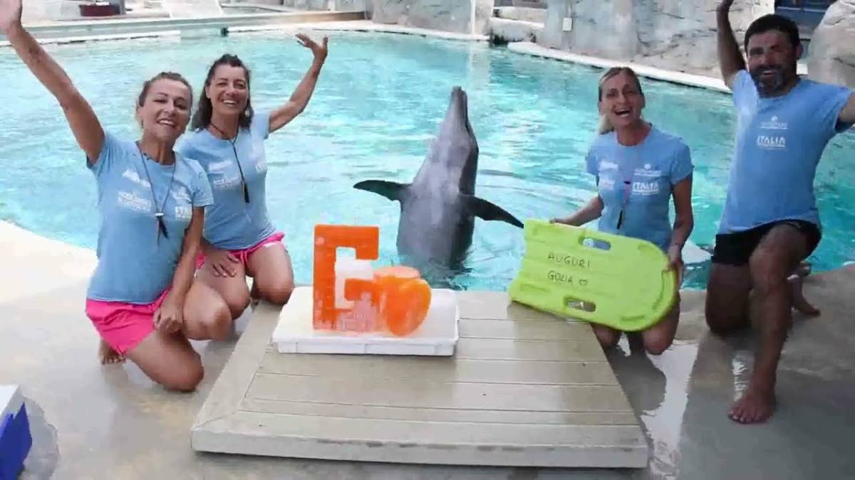 Riccione, il delfino Golia compie 29 anni VIDEO