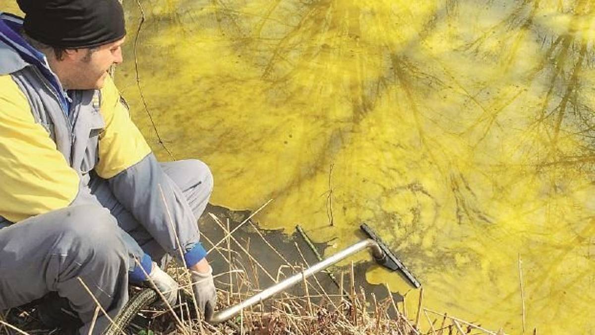 San Marino, si rompe la cisterna: ettolitri di olio extravergine nell’Ausa