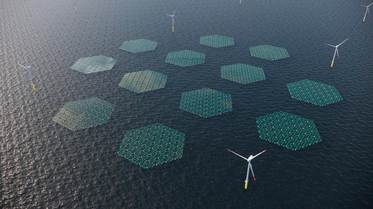 Il render di una parte del progetto Agnes, che comprende 75 pale eoliche e la produzione di energia solare da pannelli flottanti