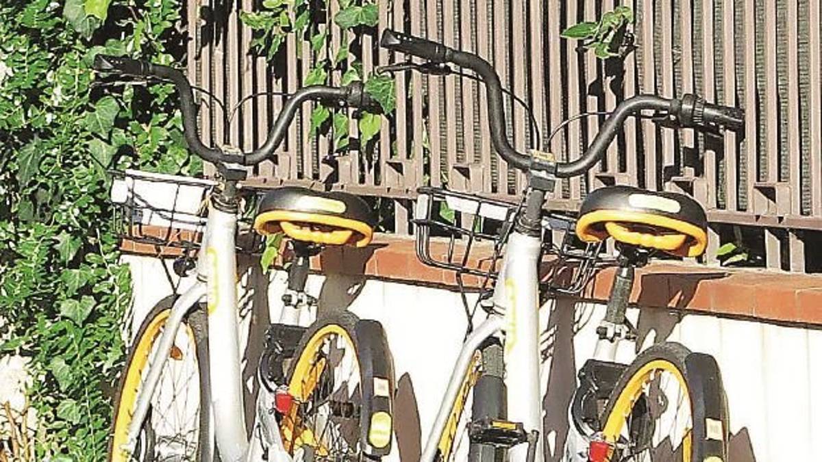 Obike, via tutte le bici dalle strade. Il Comune: «Ma non sarà un addio»
