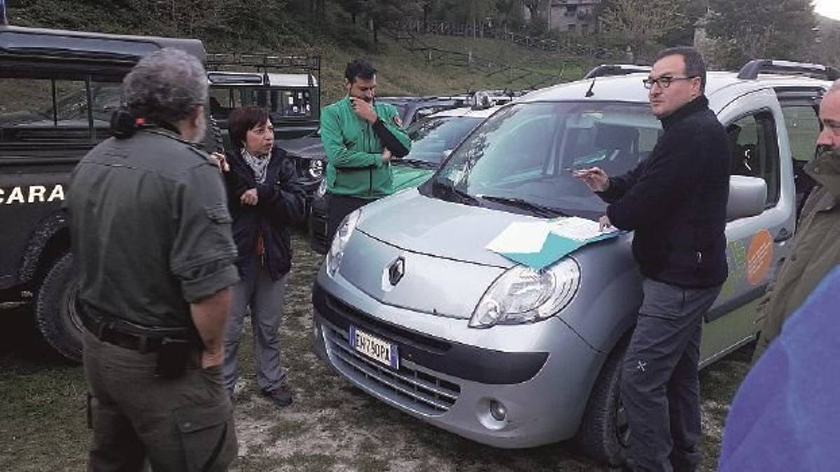 Cervi e lupi, volontari al lavoro di notte per censirli nel Parco delle Foreste Casentinesi