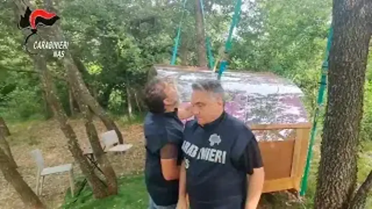 Controlli Nas sui cammini dell’Emilia-Romagna: sospese 11 strutture tra agriturismi, B&amp;B e ristoranti VIDEO