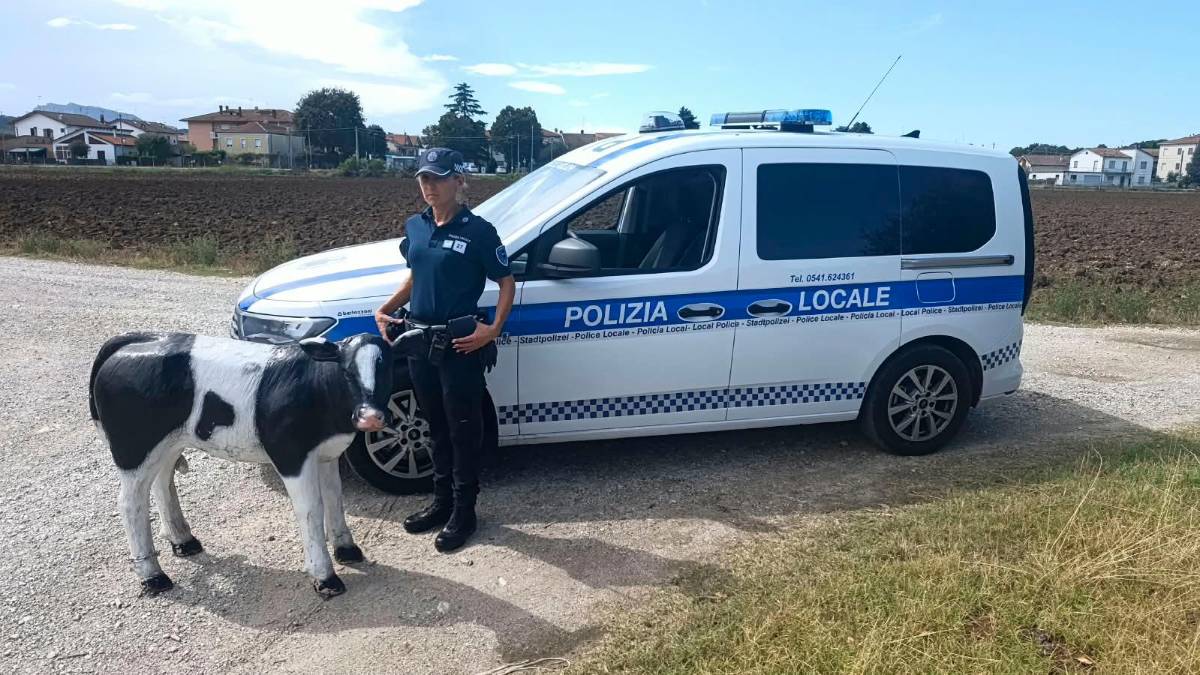 Santarcangelo, ritrovato il vitellino in cartapesta rubato a Tuttozoo