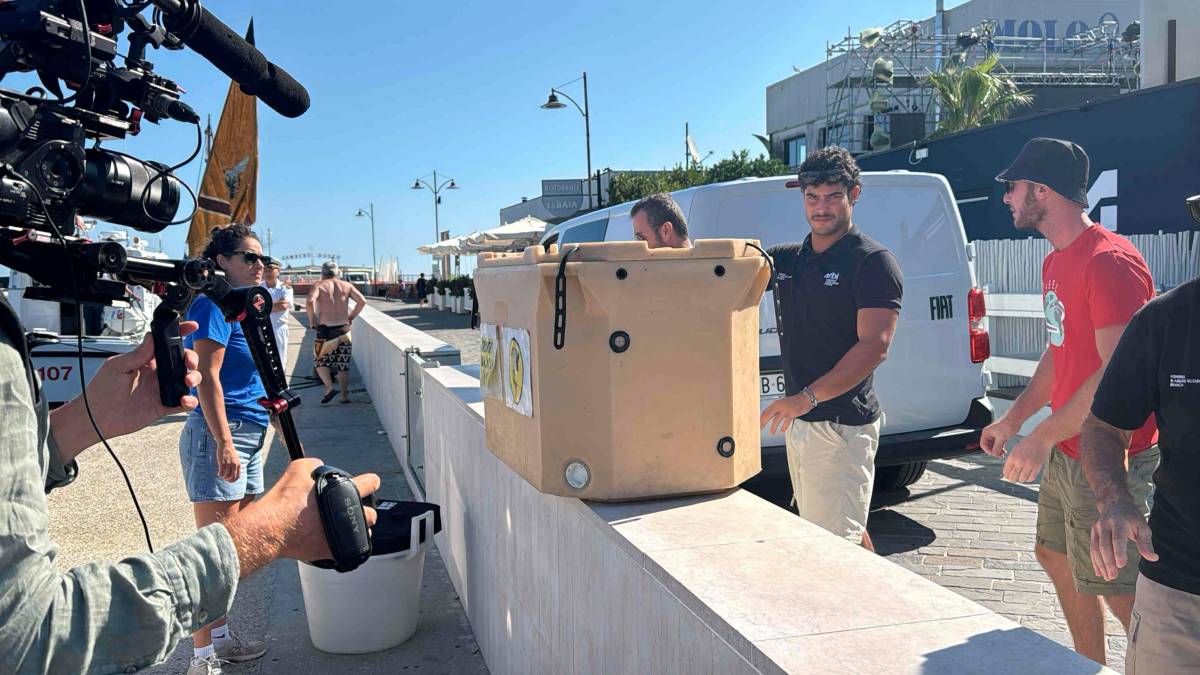 Cesenatico, scatta il progetto “Octo-Blu”: la Regione e l’Ateneo schierano il polpo contro il granchio alieno VIDEO e FOTOGALLERY