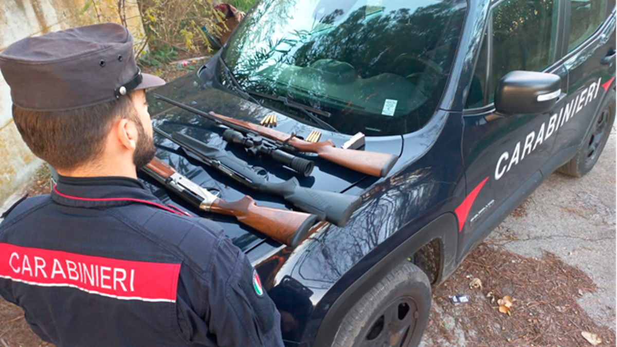 Bracconiere uccide un Ibis eremita ma viene incastrato dal trasmettitore del volatile