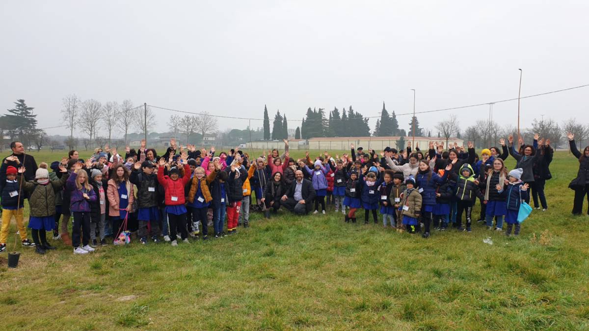 Cesena, nasce un boschetto accanto alla Fiera grazie a Natù