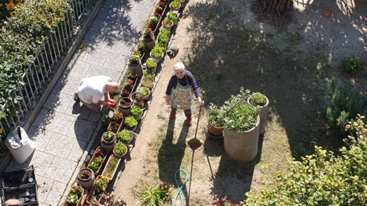 Continuare a essere compagni di viaggio nel cammino della demenza