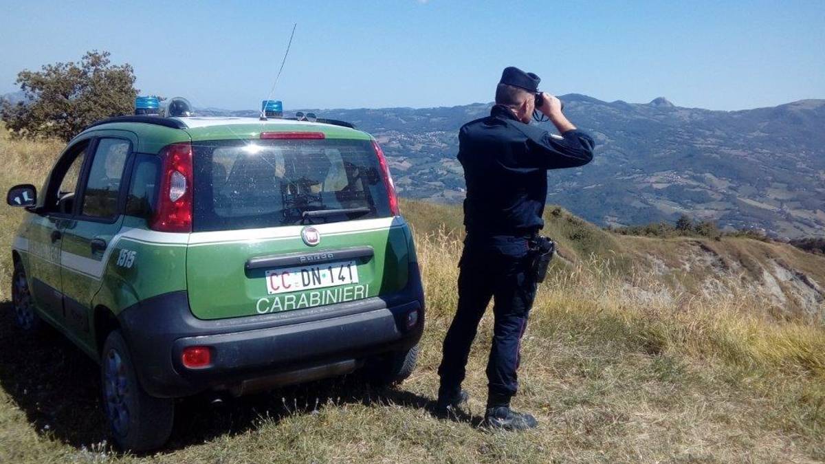 Spari vicino alle case, i forestali multano i cacciatori a Rimini
