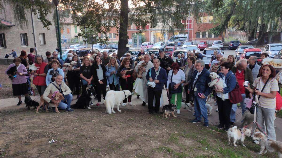 Imola. Benedizione degli animali, don Massimo: Portate gatti, cani, coniglietti, tartarughe, criceti e amici pennuti